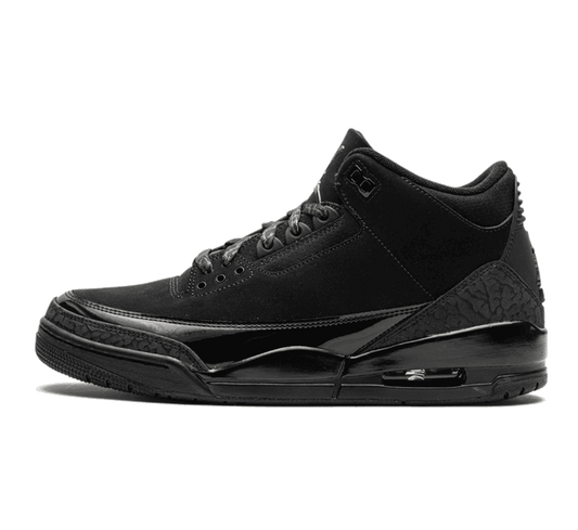 Air Jordan 3 Black Cat