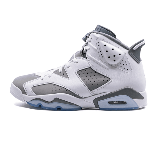 Air Jordan 6 Cool Grey