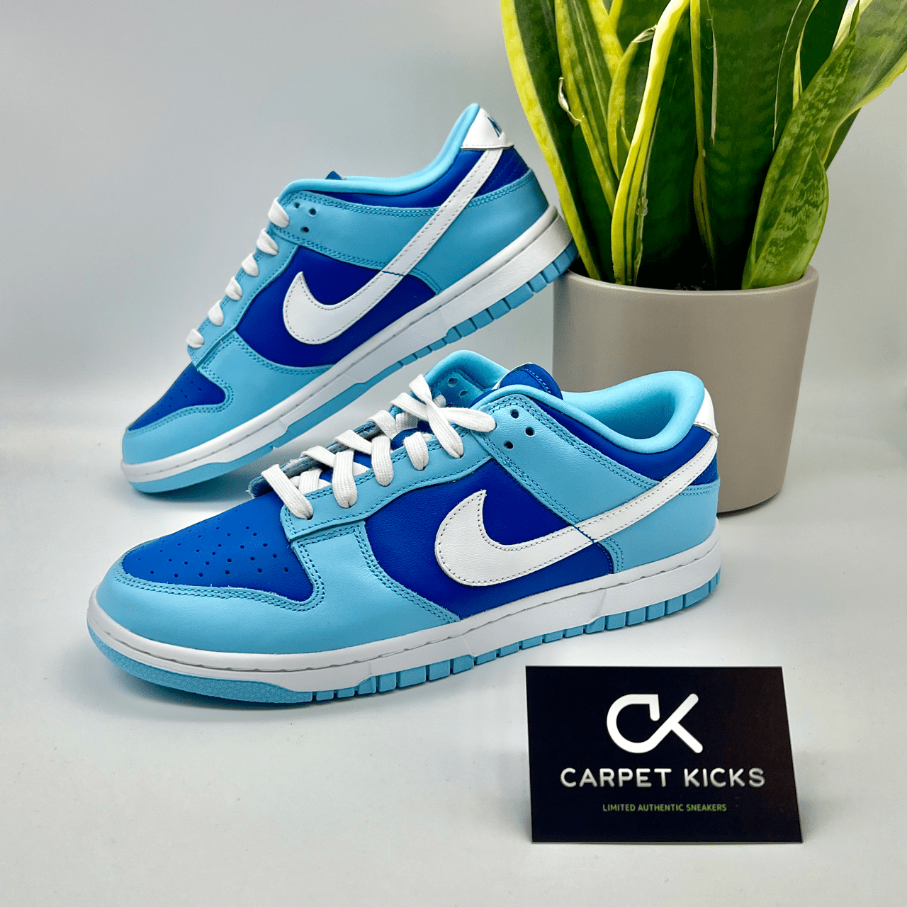 Nike Dunk Low Argon - CARPET KICKS