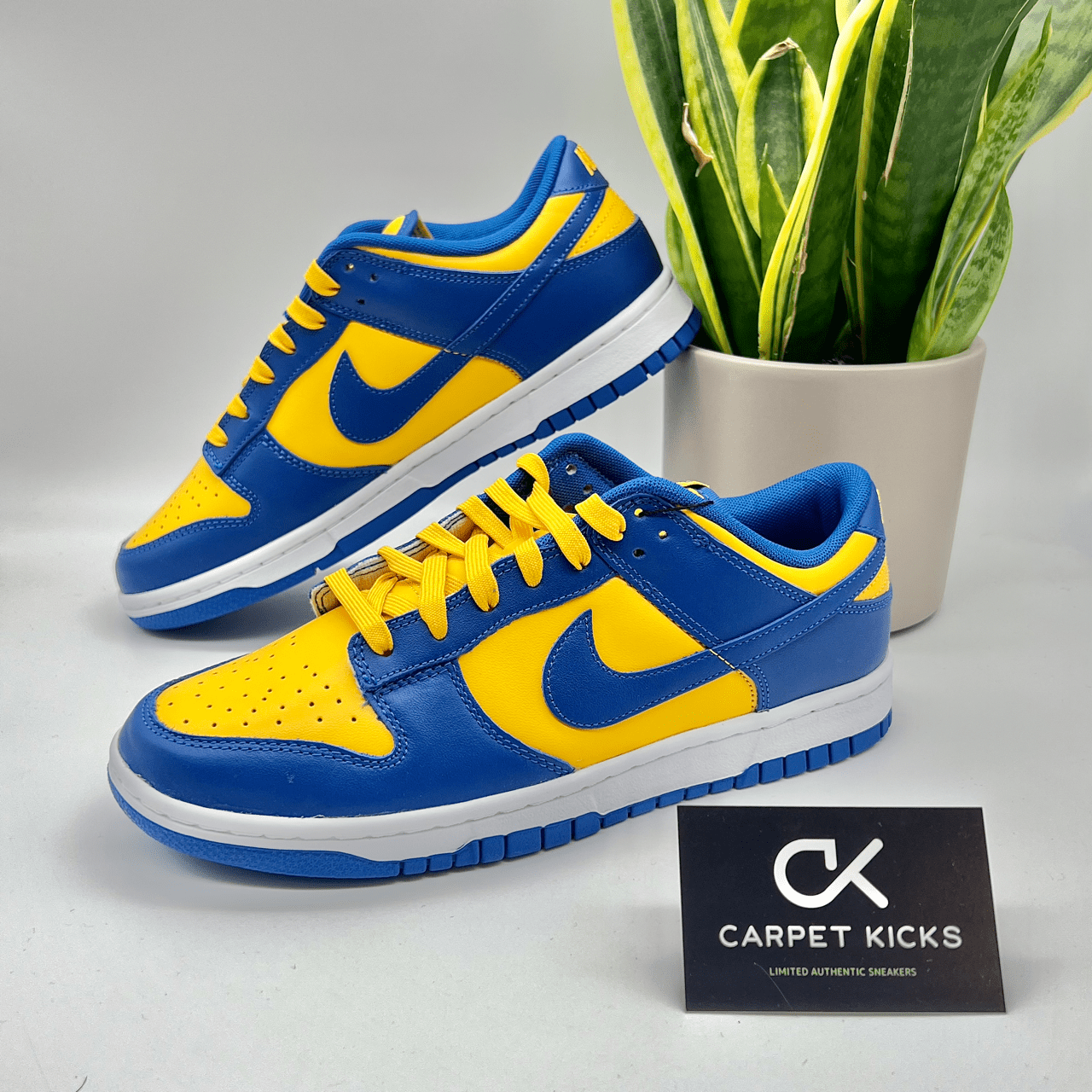 Nike Dunk Low UCLA - CARPET KICKS