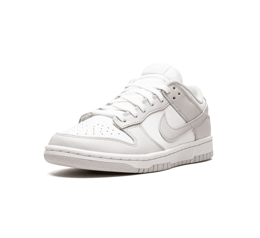 Nike Dunk Low Venice
