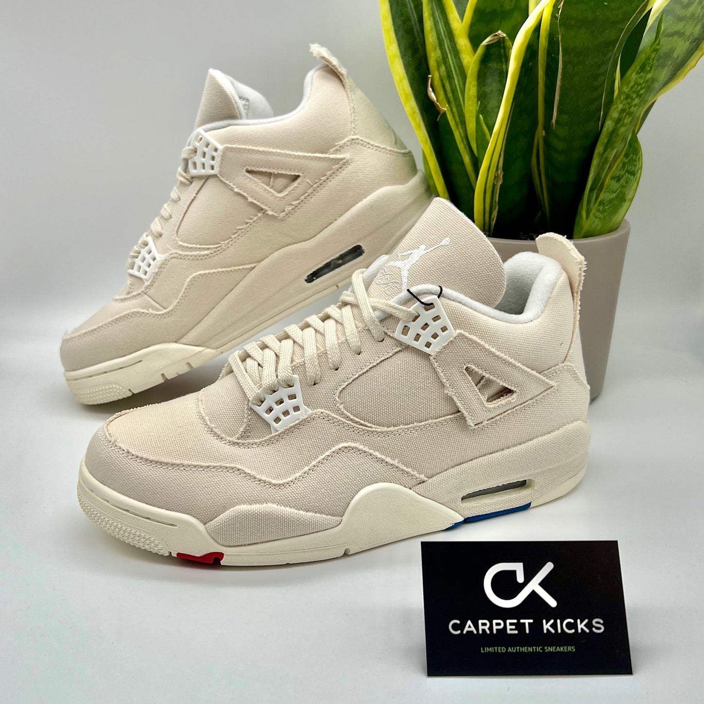 Air Jordan 4 Blank Canvas (W) - CARPET KICKS