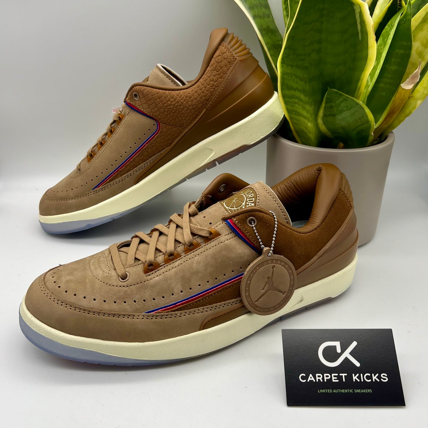 Air Jordan 2 Low Two 18