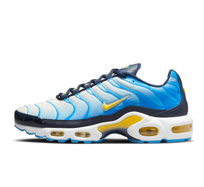 Air max plus tn bleu shop