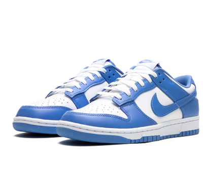 Nike Dunk Low Polar
