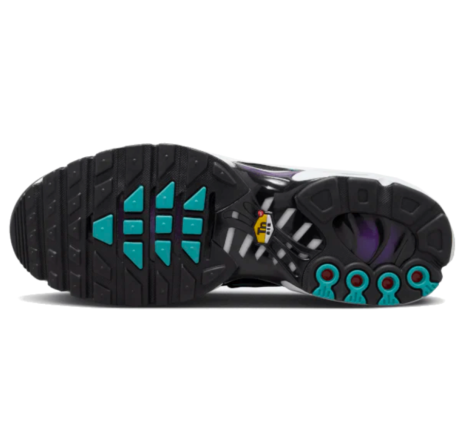 Nike Air Max Plus TN Reverse Grape