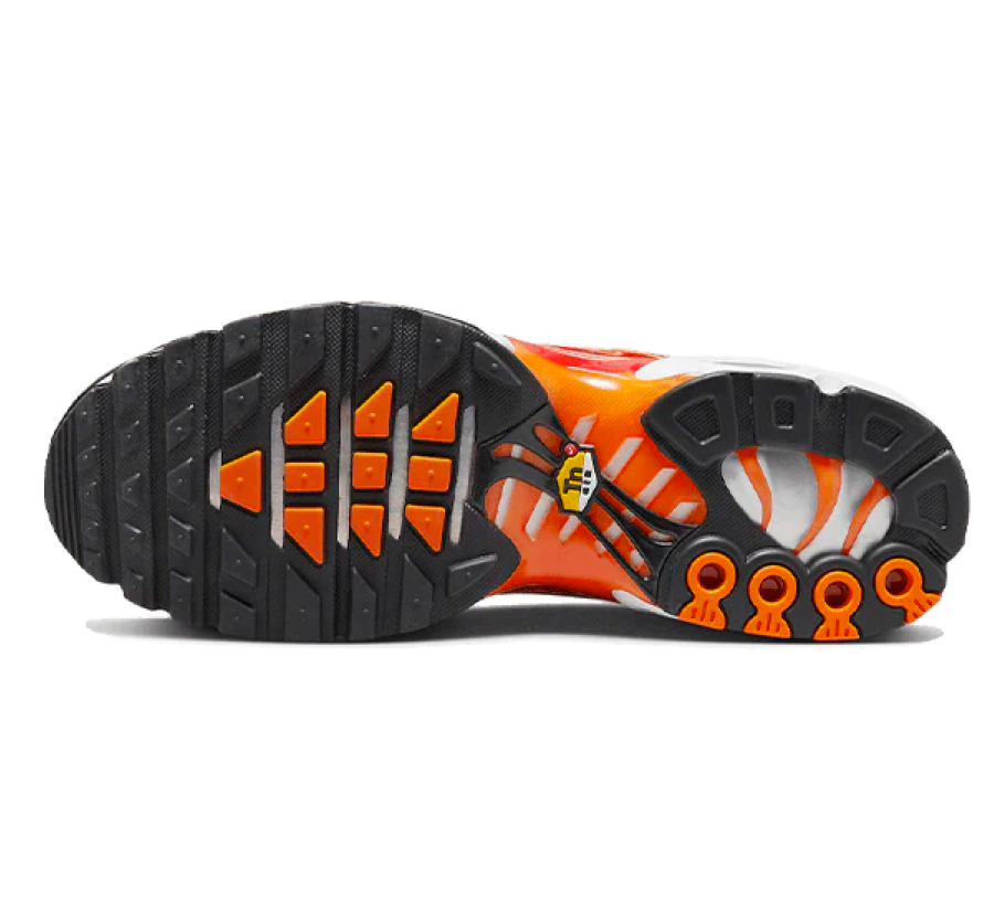 Nike Air Max Plus TN Light Photography