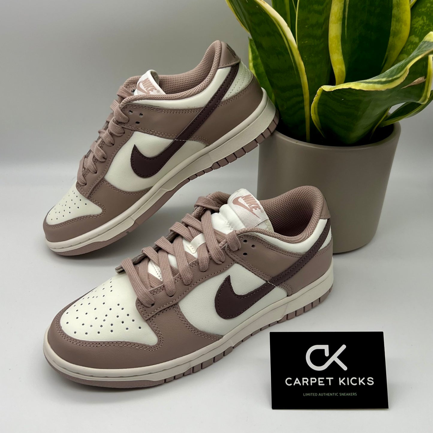 Nike Dunk Low Diffused Taupe (W)