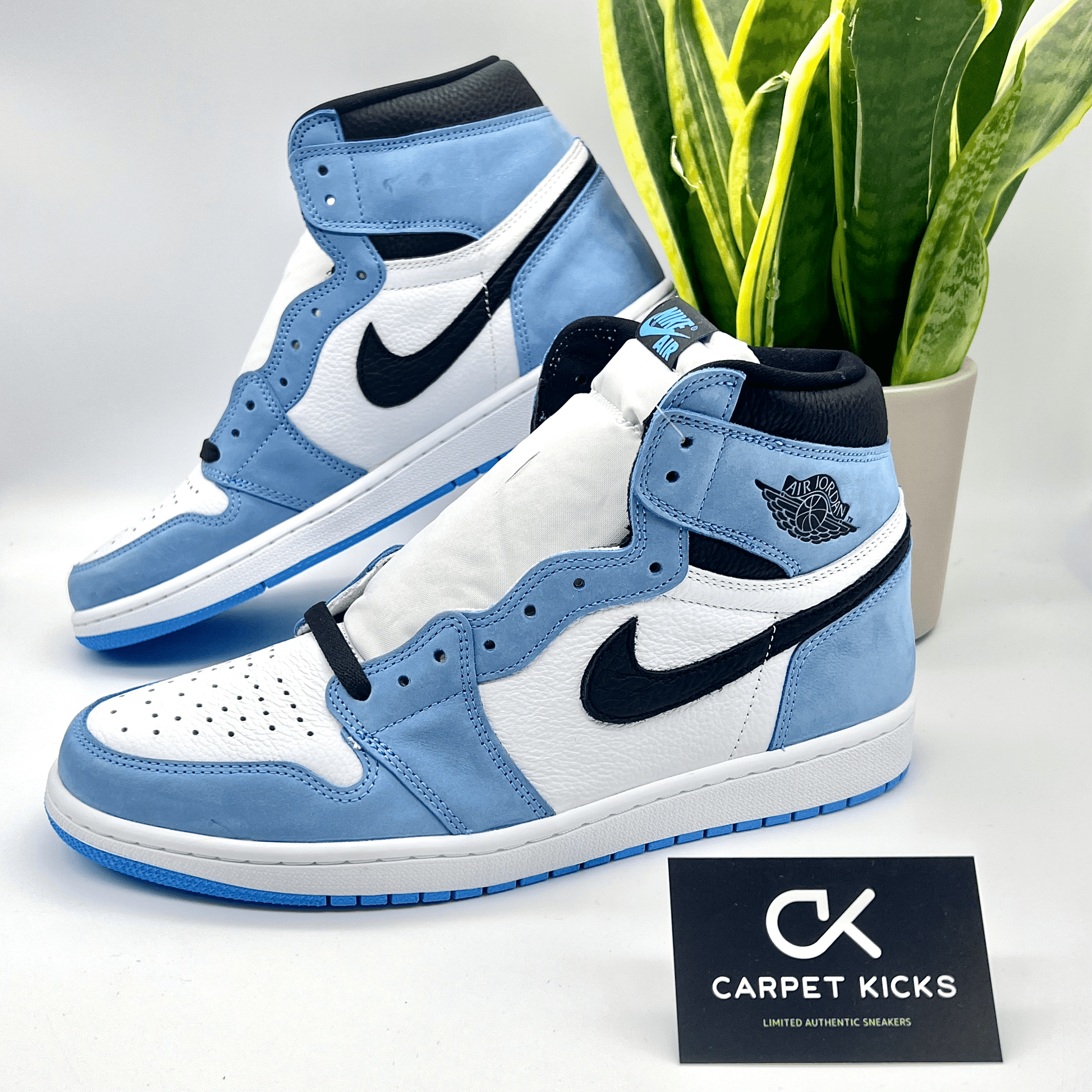 Air Jordan 1 High OG University Blue - CARPET KICKS