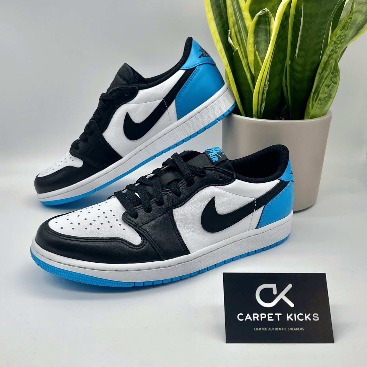Air Jordan 1 Low OG UNC - CARPET KICKS