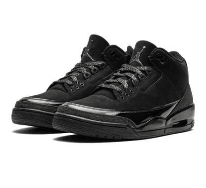 Air Jordan 3 Black Cat