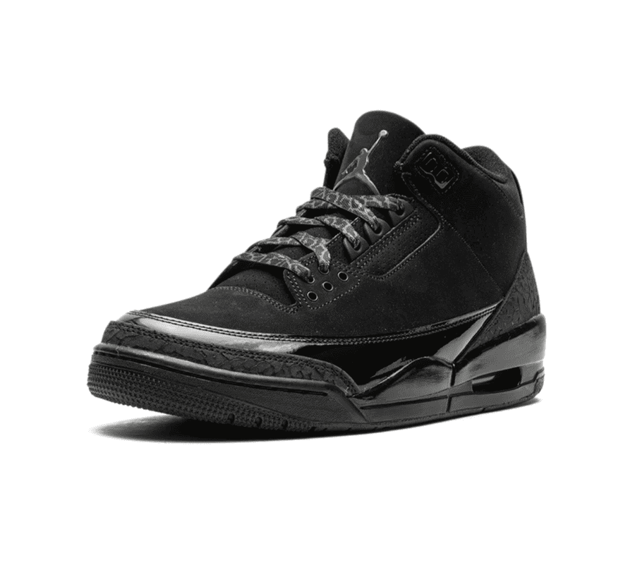 Air Jordan 3 Black Cat
