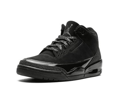 Air Jordan 3 Black Cat