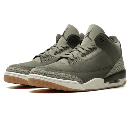 Air Jordan 3 Family Affair - grüner Sneaker