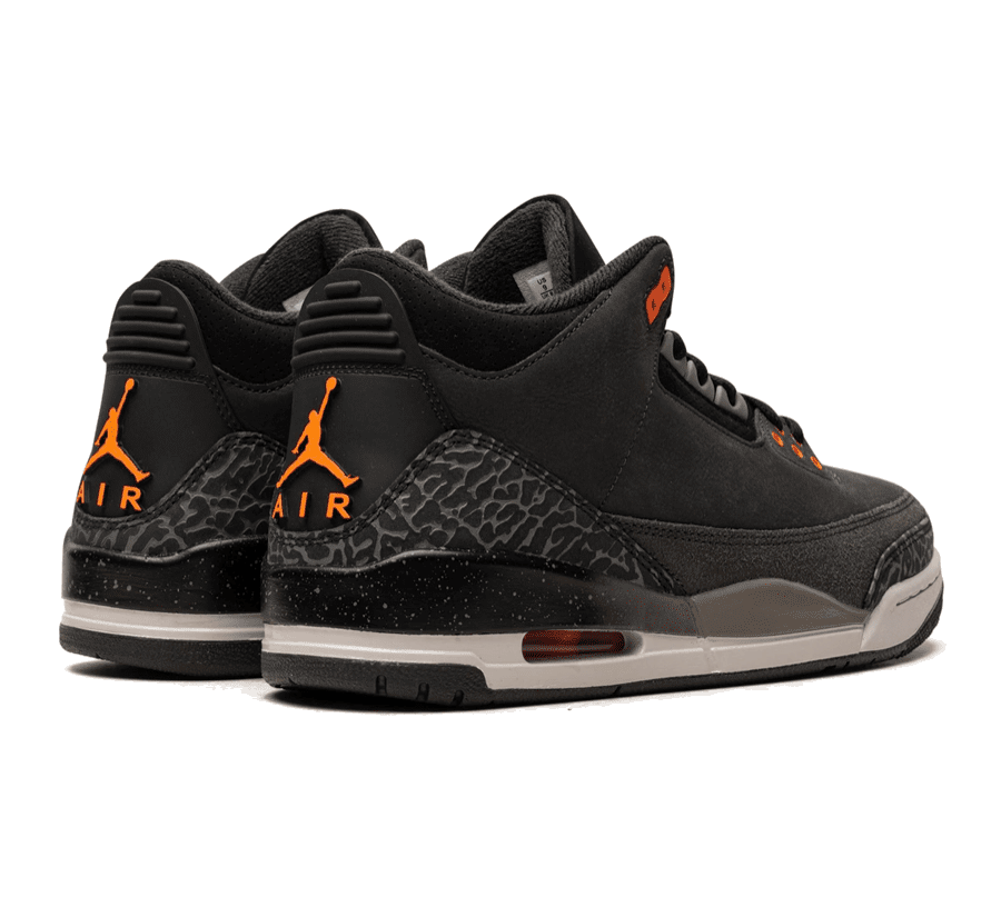 Air Jordan 3 Fear