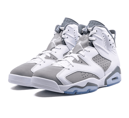 Air Jordan 6 Cool Grey