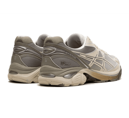 Asics GT-2160 x Dime Arctic Wolf