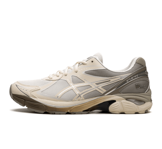 Asics GT-2160 x Dime Arctic Wolf