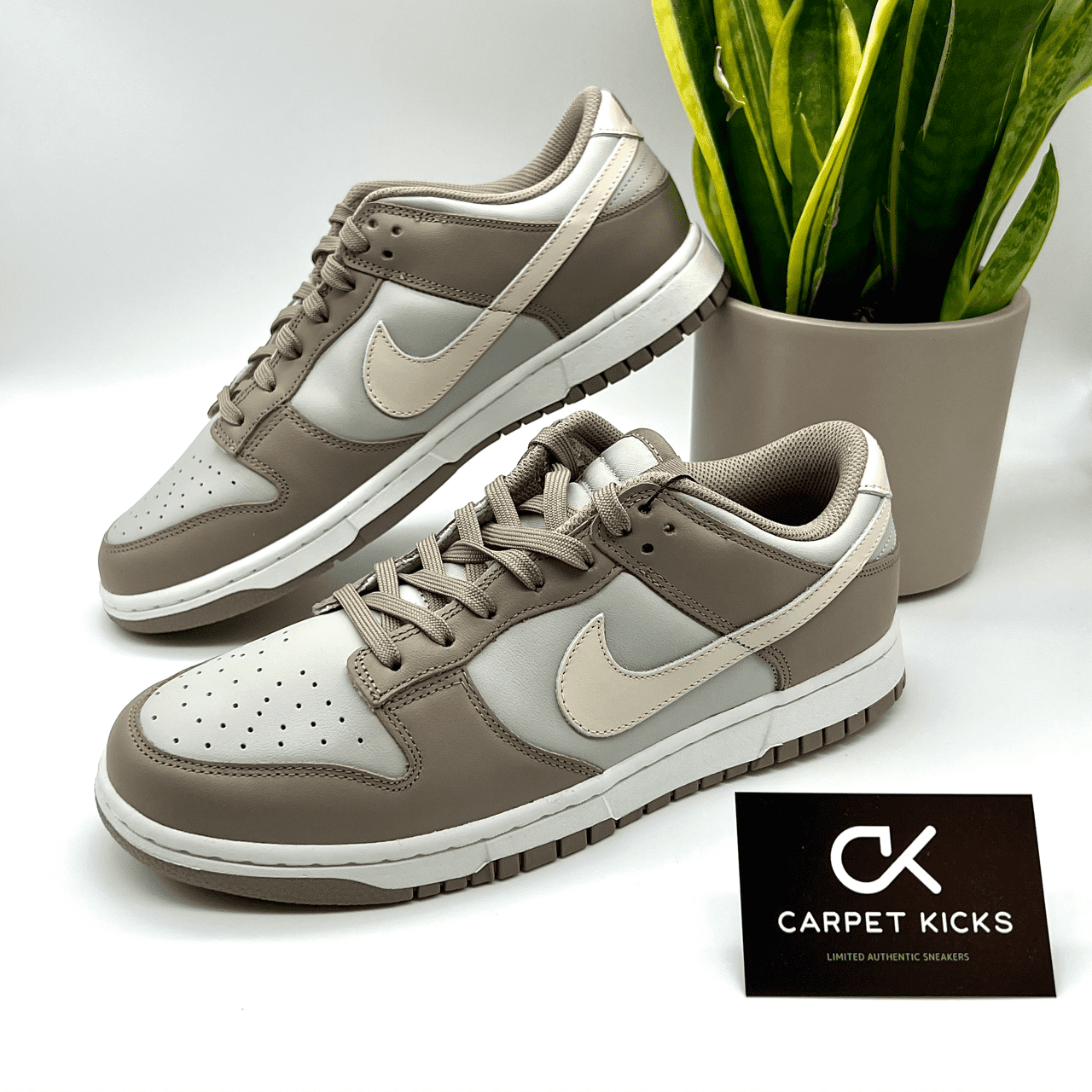 Nike Dunk Low Bone Beige - CARPET KICKS