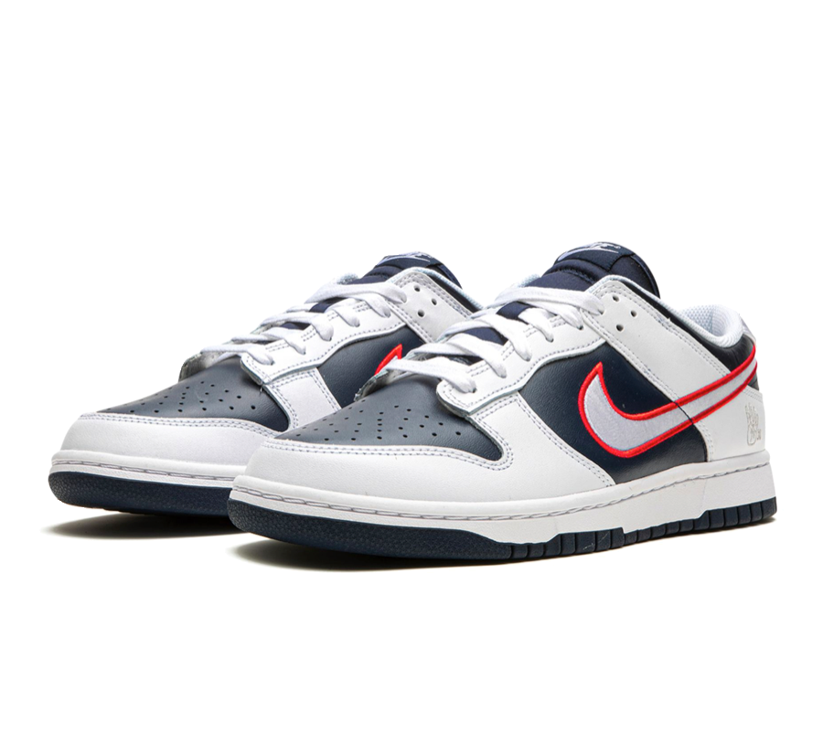 Nike Dunk Low Houston Comets