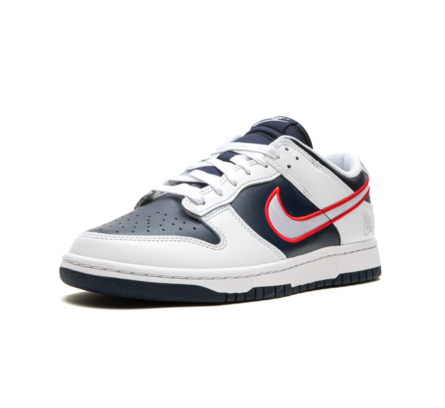 Nike Dunk Low Houston Comets