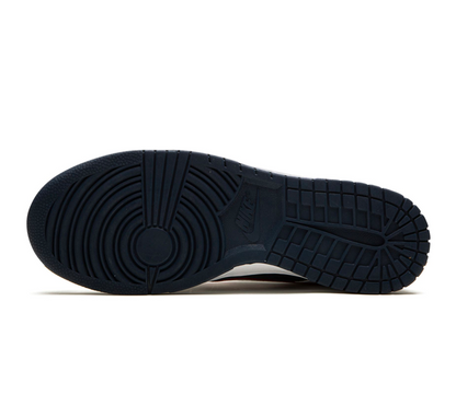 Nike Dunk Low Houston Comets