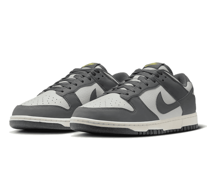 Nike Dunk Low Next Nature Iron Grey