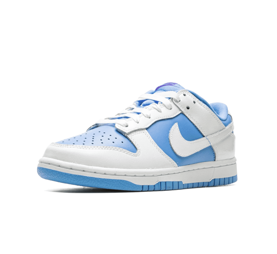 Nike Dunk Low Reverse UNC