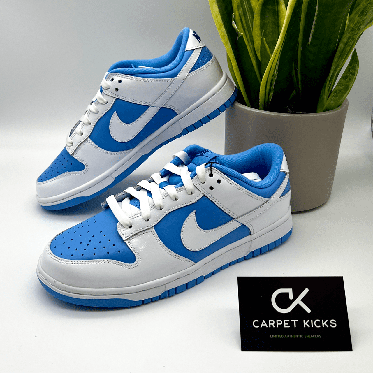 Nike Dunk Low Reverse UNC - CARPET KICKS