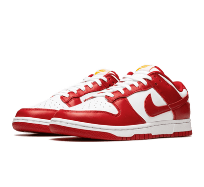 Nike Dunk Low USC