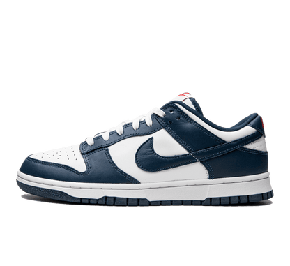 Nike Dunk Low Valerian Blue