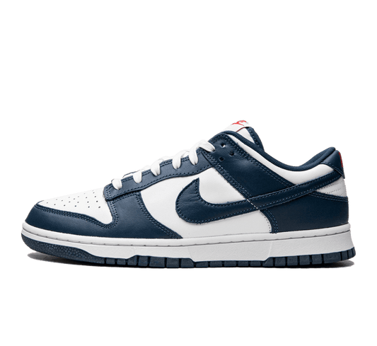 Nike Dunk Low Valerian Blue