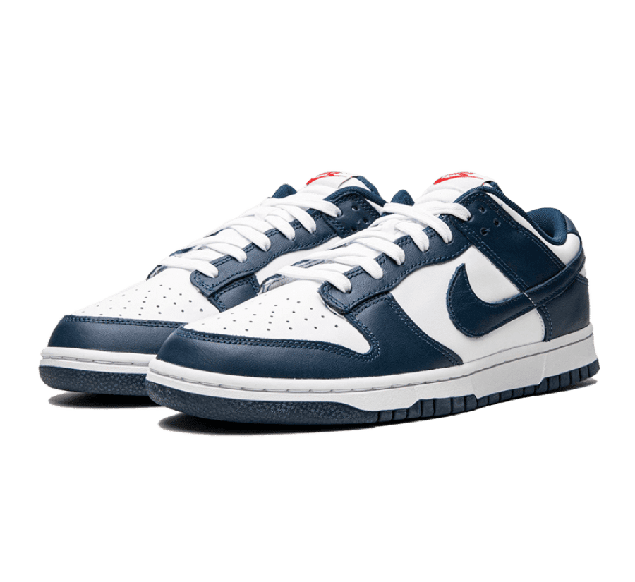 Nike Dunk Low Valerian Blue