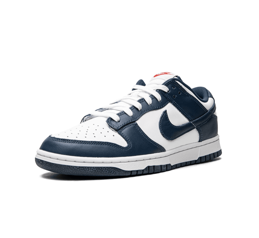 Nike Dunk Low Valerian Blue