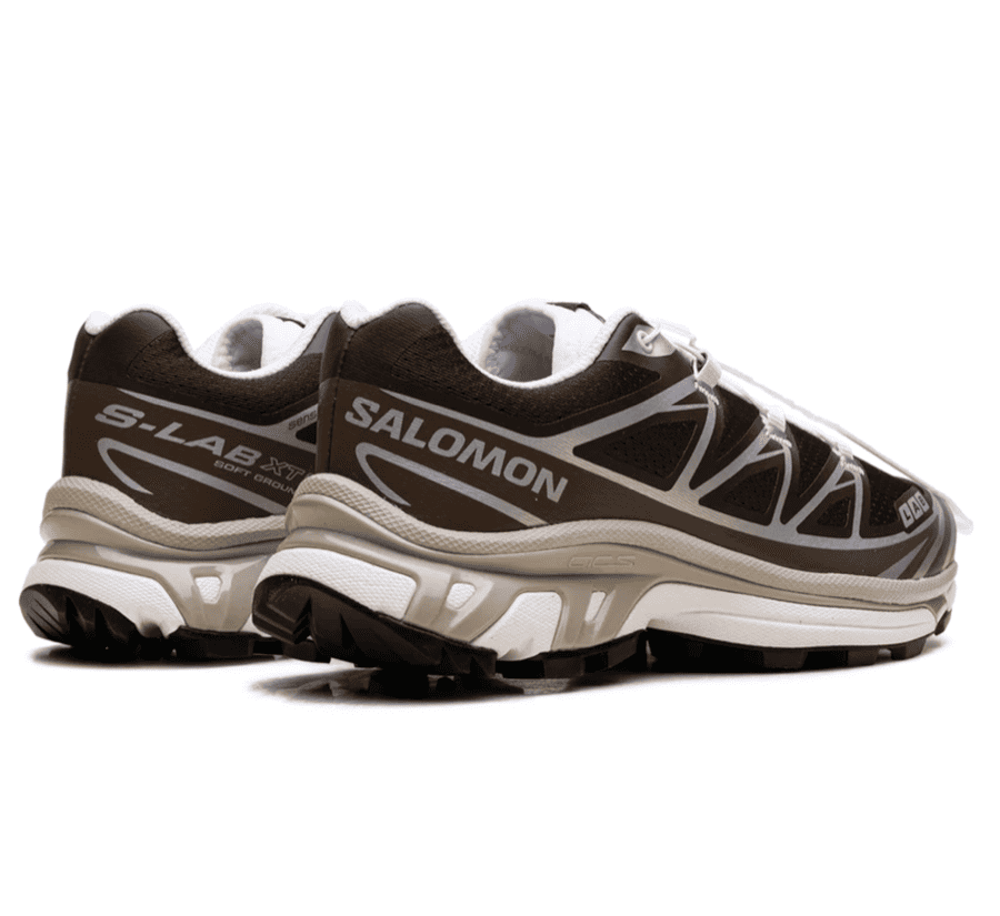 Salomon XT-6 Earth Brown Walnut L49209900 Paar von hinten