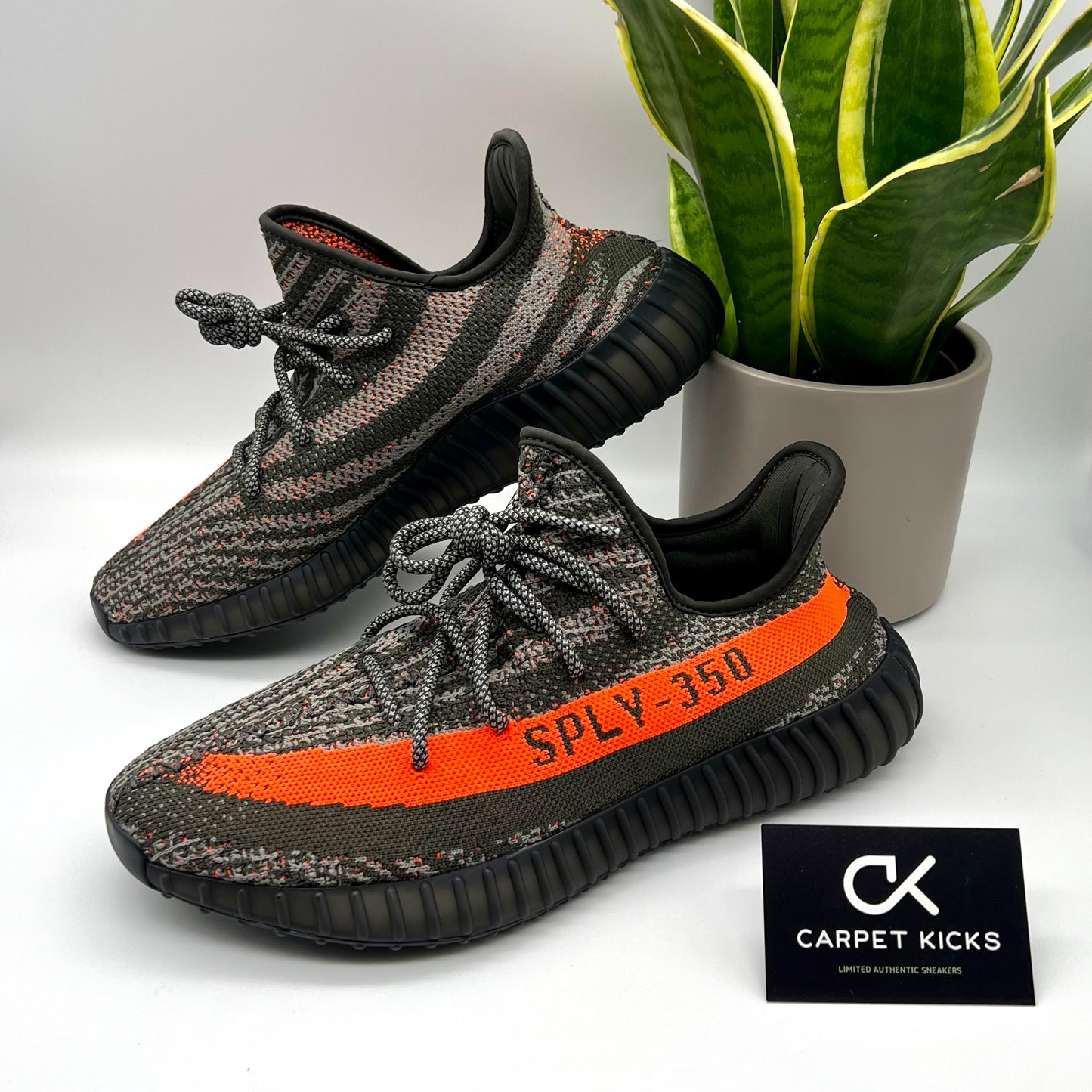 Yeezy Boost 350 V2 Carbon Beluga