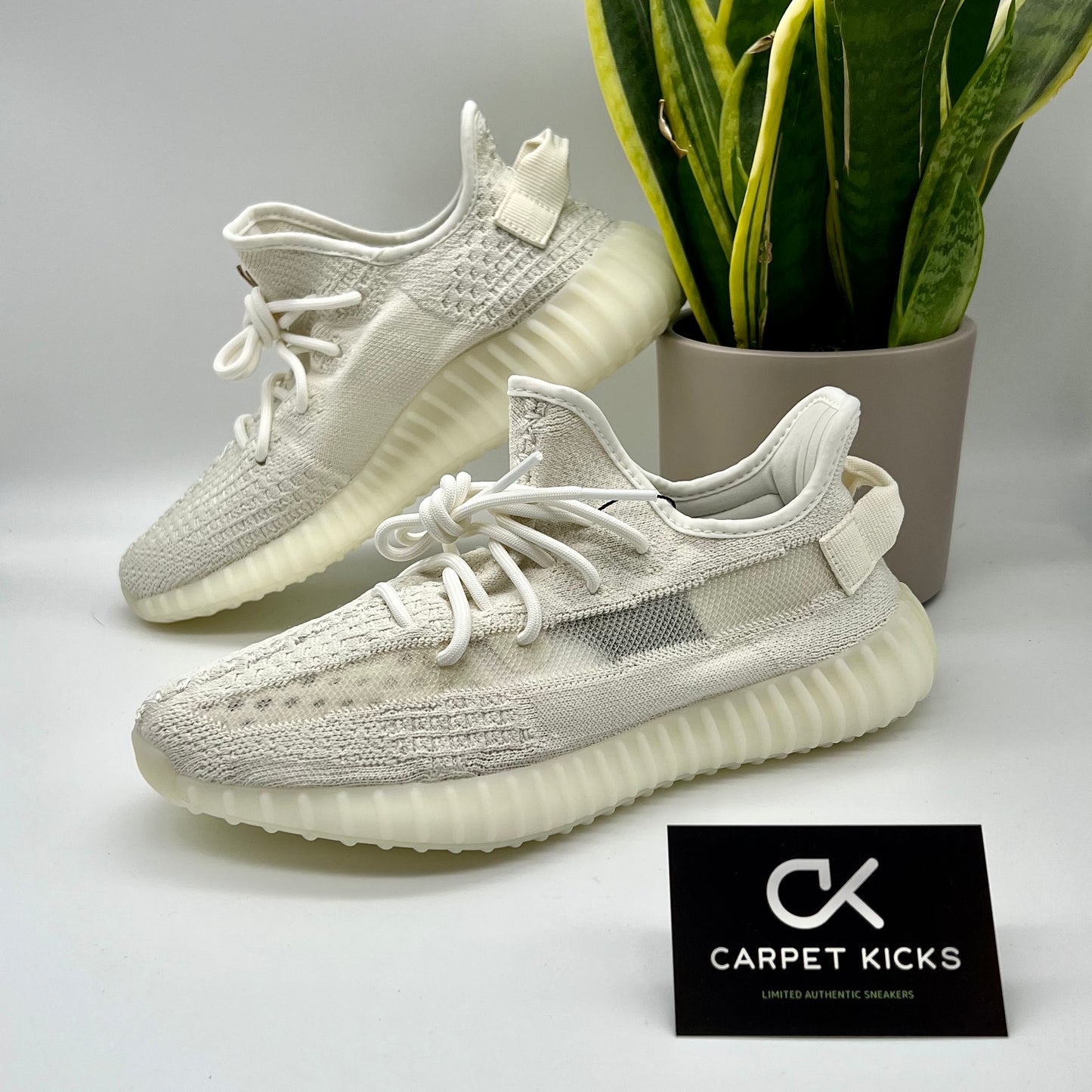 Yeezy Boost 350 V2 Bone - CARPET KICKS