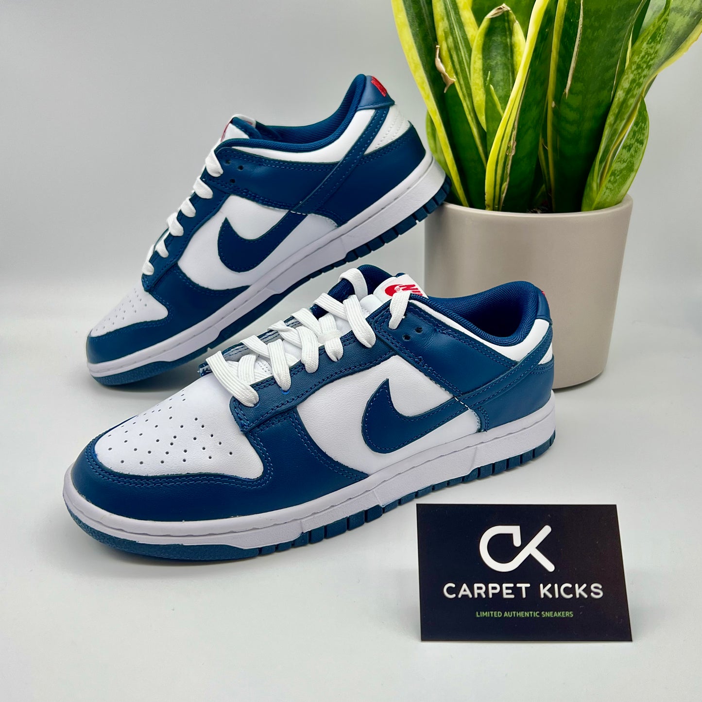 Nike Dunk Low Valerian Blue - CARPET KICKS