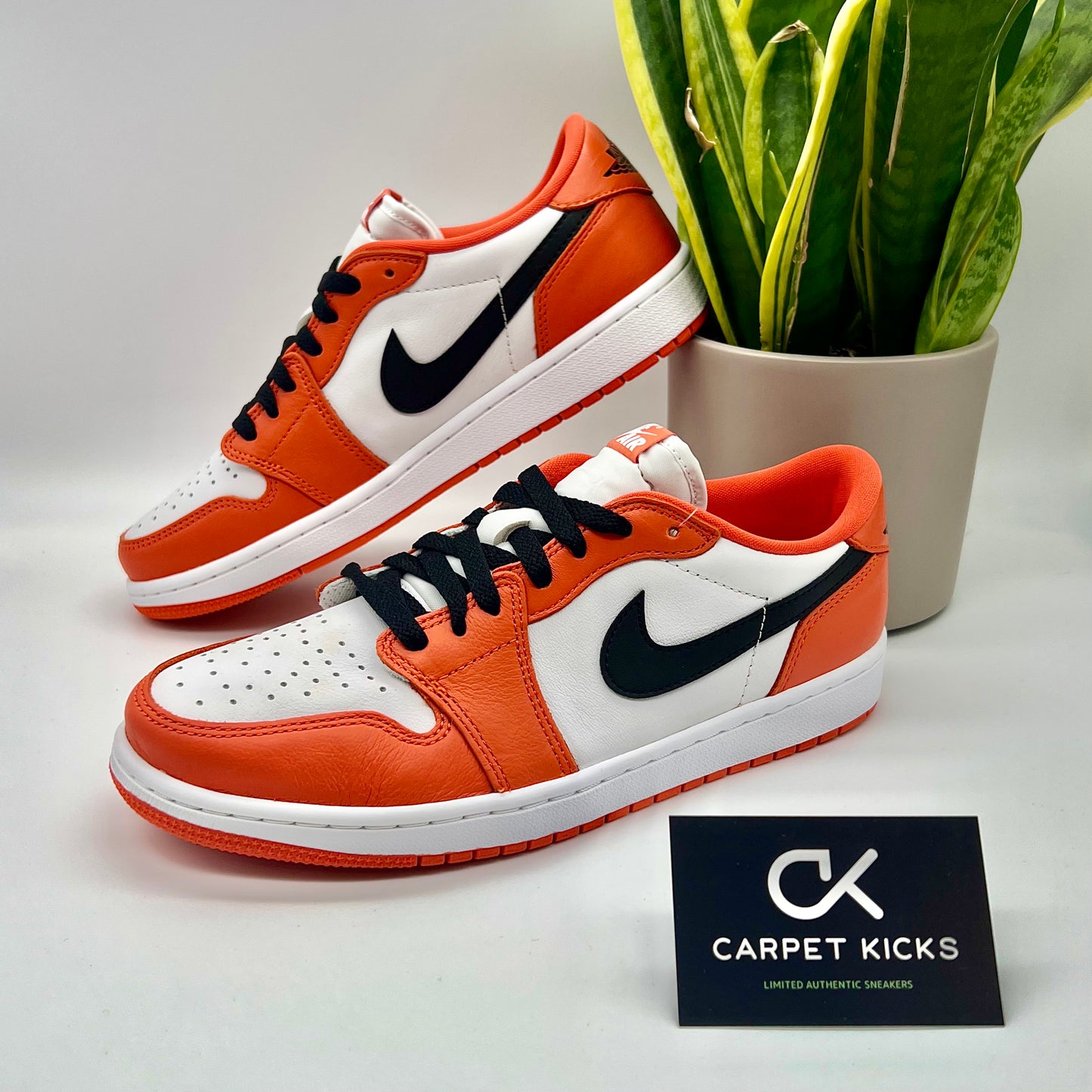 Air Jordan 1 Low OG Starfish - CARPET KICKS